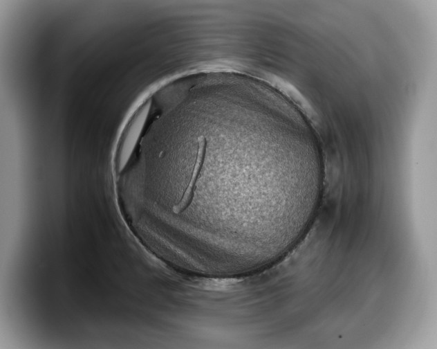 X0000099571184200805301535