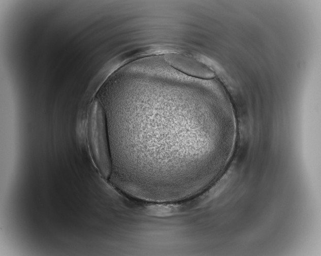 X0000099571185200805301535