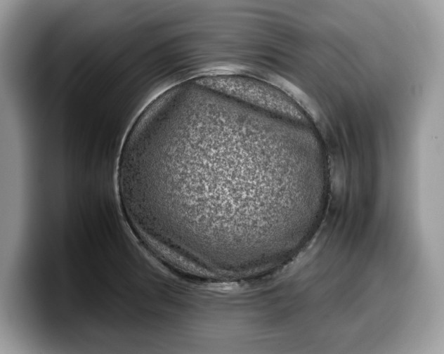 X0000099571186200805301535