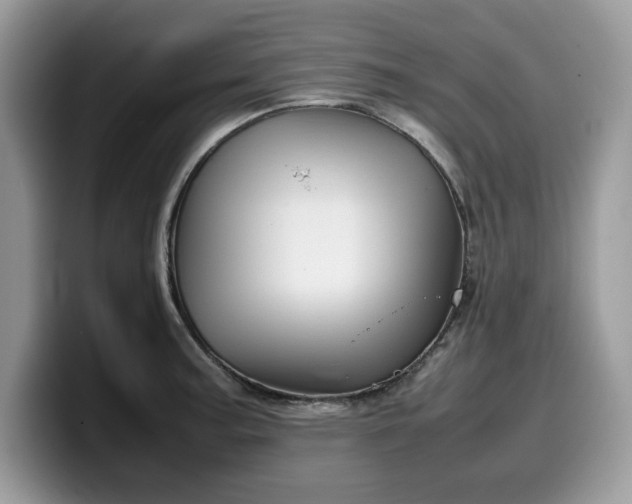 X0000099571187200805301535