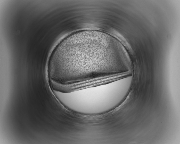X0000099571188200805301535