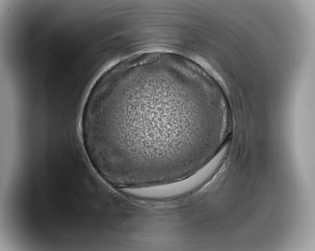 X0000099571189200805301535