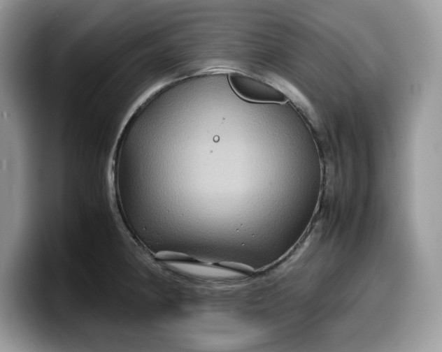 X0000099571190200805301534