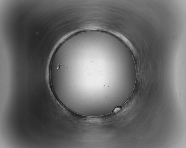 X0000099571191200805301534