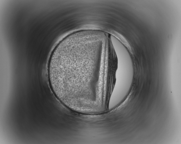 X0000099571192200805301534