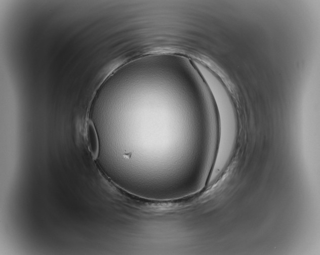 X0000099571193200805301534