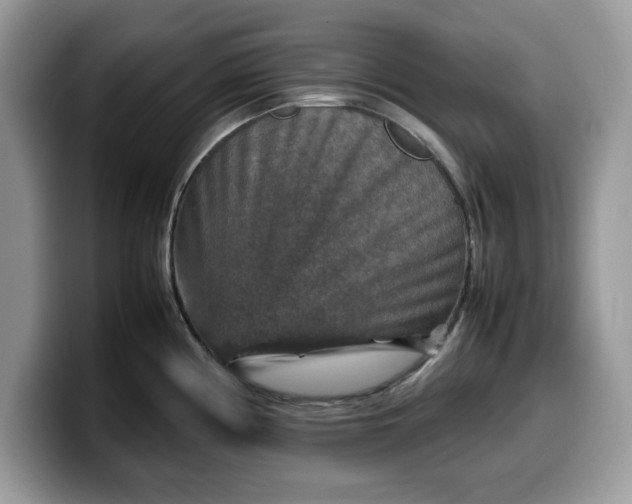X0000099571194200805301534