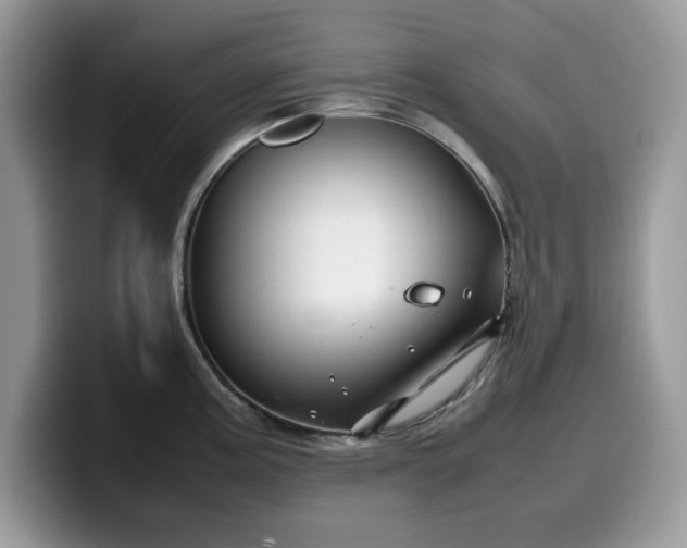 X0000099571195200805301534