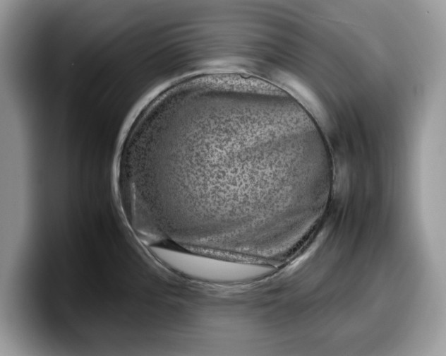 X0000099571196200805301534