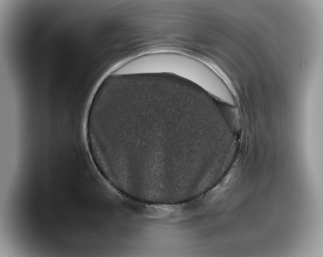 X0000099571197200805301534