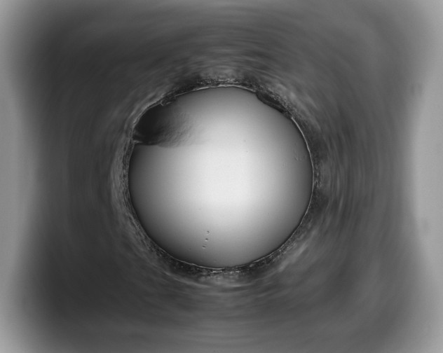 X0000099571201200805301534