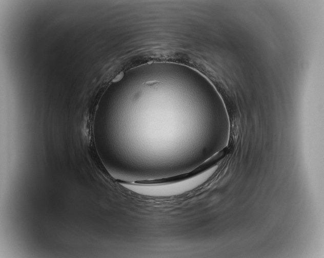 X0000099571202200805301534