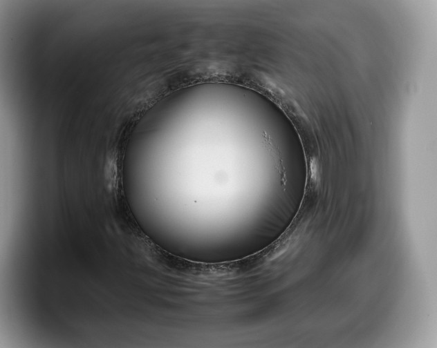 X0000099571203200805301534