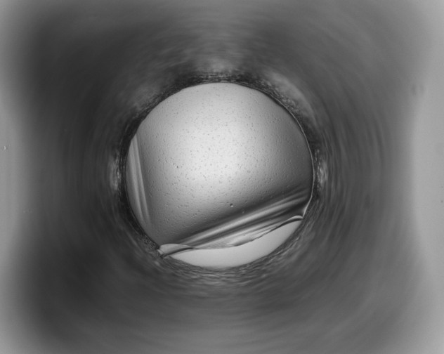 X0000099571204200805301534