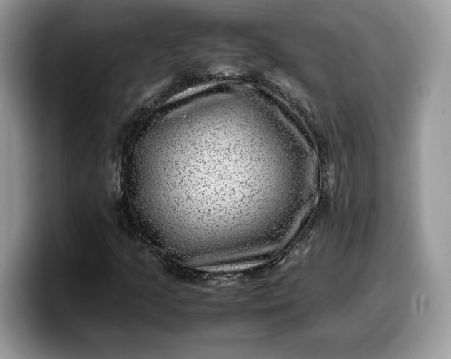 X0000099571205200805301534