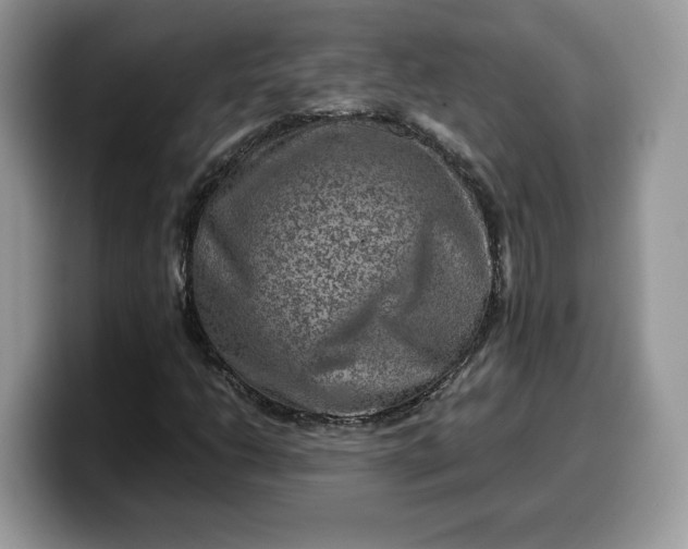 X0000099571206200805301534