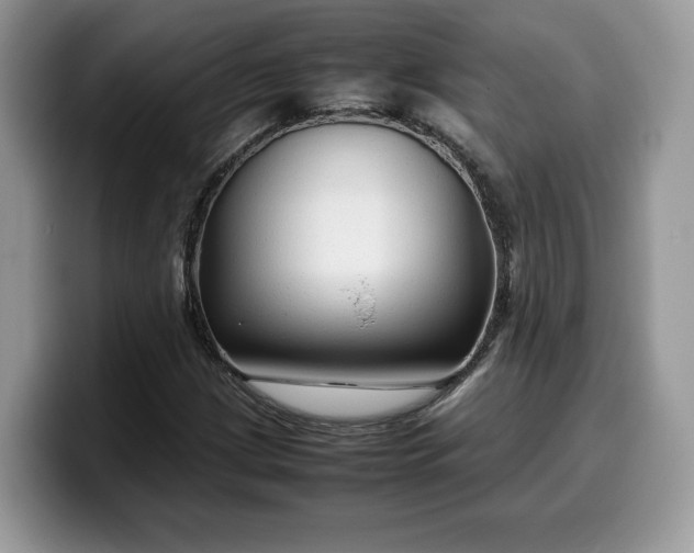 X0000099571209200805301534