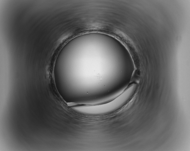 X0000099571210200805301534