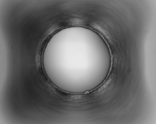 X0000099571211200805301534