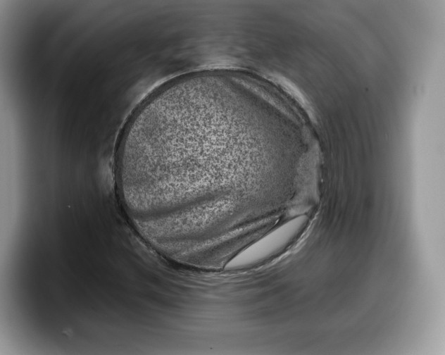 X0000099571212200805301534
