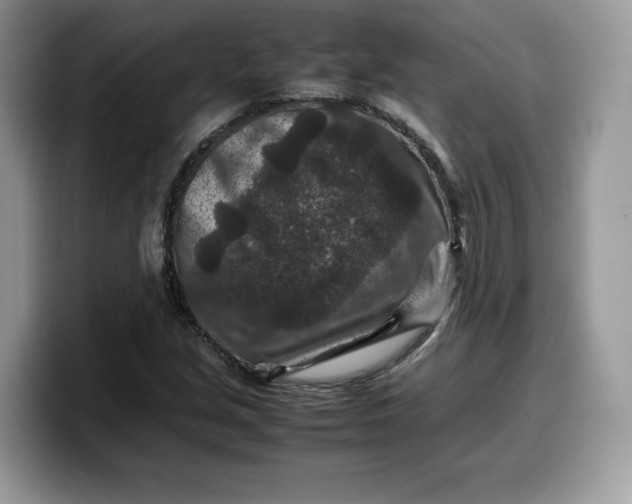 X0000099571213200805301534