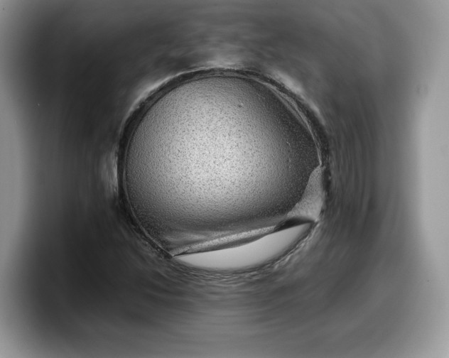 X0000099571214200805301534