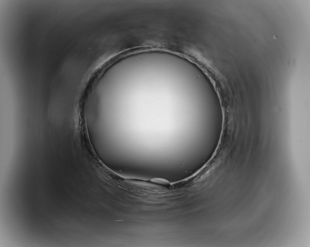 X0000099571215200805301534
