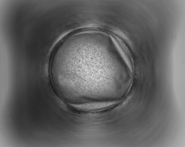 X0000099571216200805301534