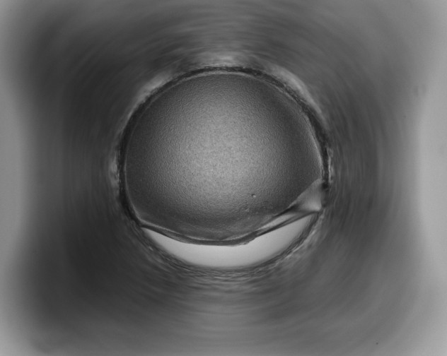 X0000099571218200805301534