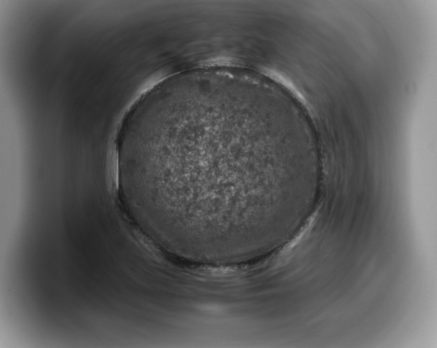 X0000099571219200805301534