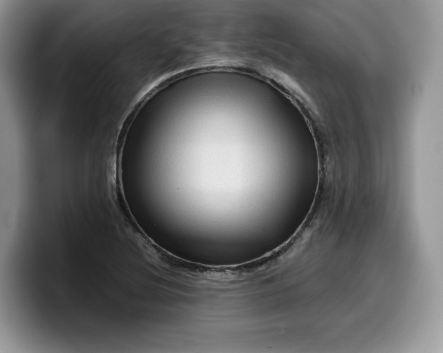 X0000099571220200805301534
