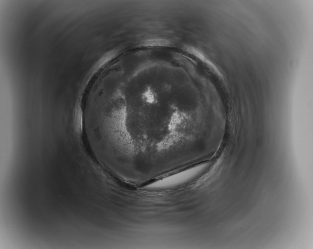 X0000099571221200805301534