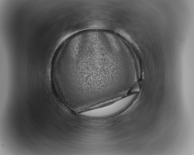 X0000099571222200805301534