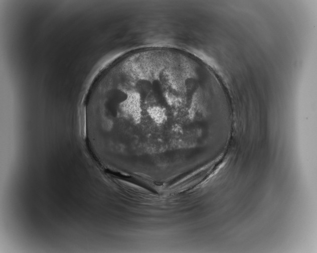 X0000099571223200805301534