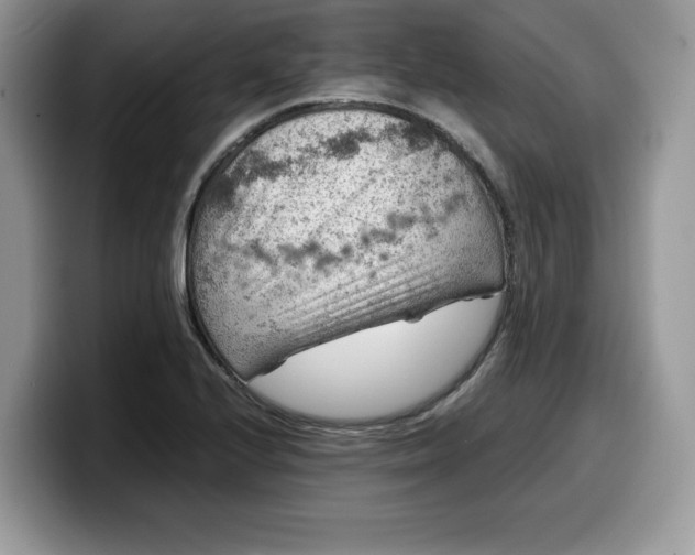 X0000099571224200805301534