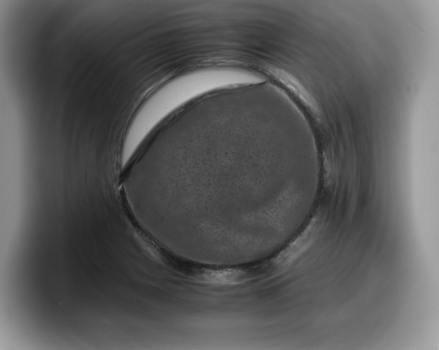 X0000099571225200805301534