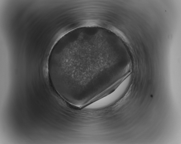 X0000099571226200805301534