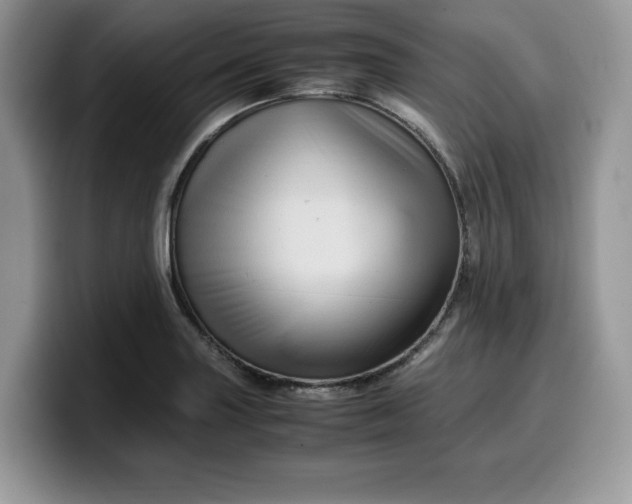 X0000099571227200805301534
