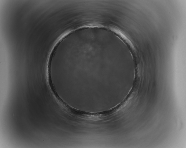 X0000099571229200805301534