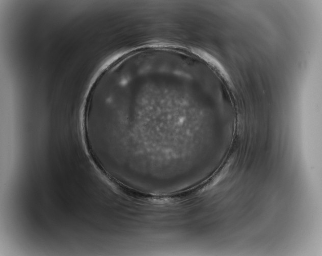 X0000099571231200805301534