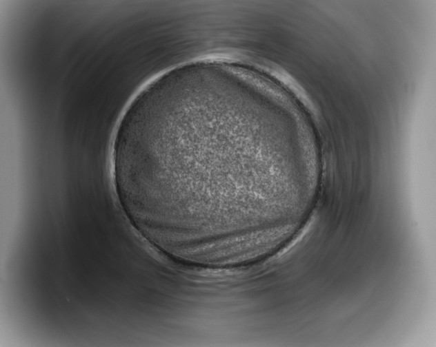 X0000099571232200805301534