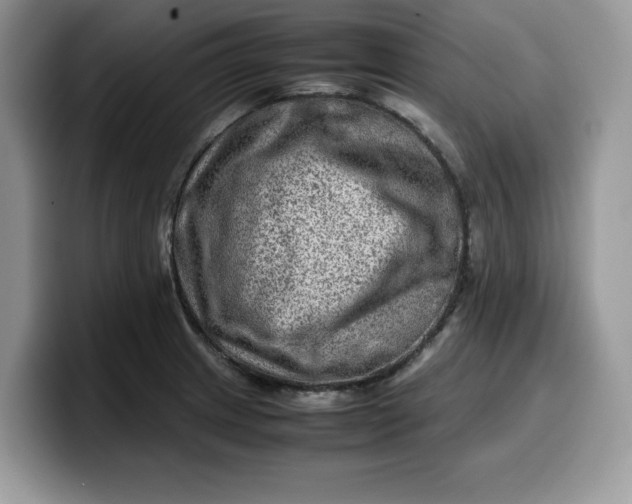 X0000099571233200805301534
