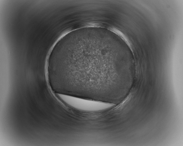 X0000099571235200805301534