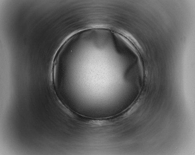 X0000099571236200805301534