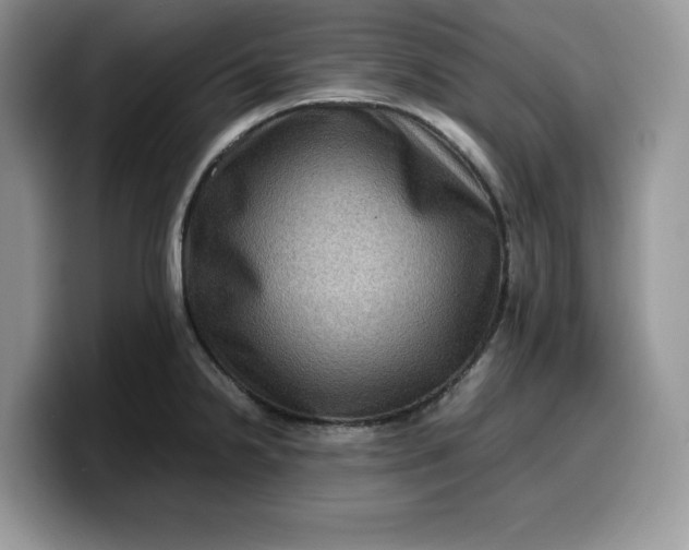 X0000099571238200805301534
