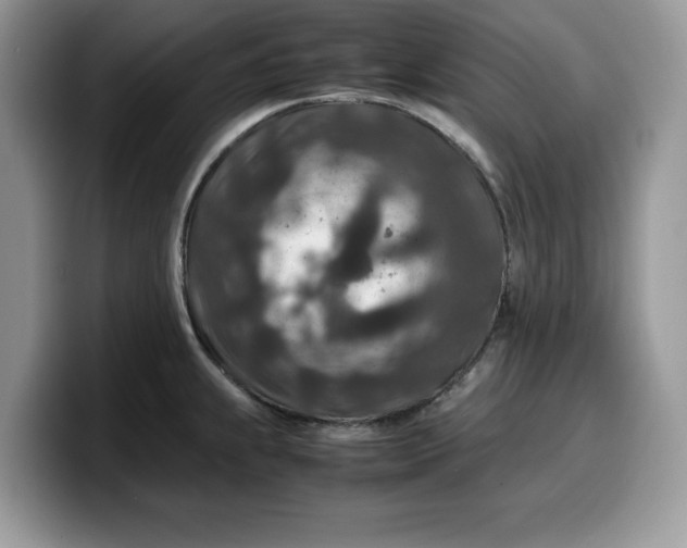 X0000099571239200805301534