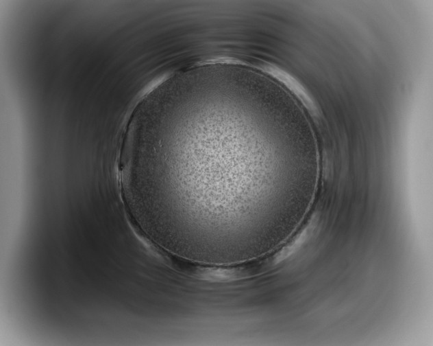 X0000099571241200805301534