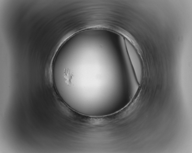 X0000099571242200805301534