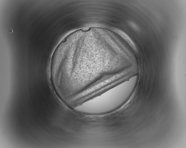 X0000099571244200805301534
