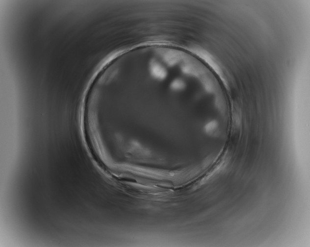 X0000099571245200805301534